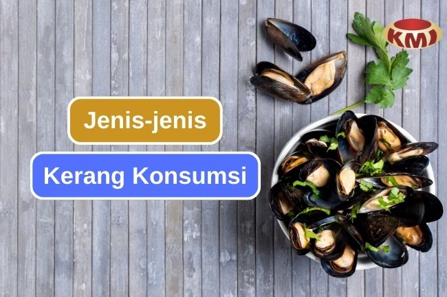 6 Jenis Kerang yang Biasa Kita Temui dalam Hidangan Seafood